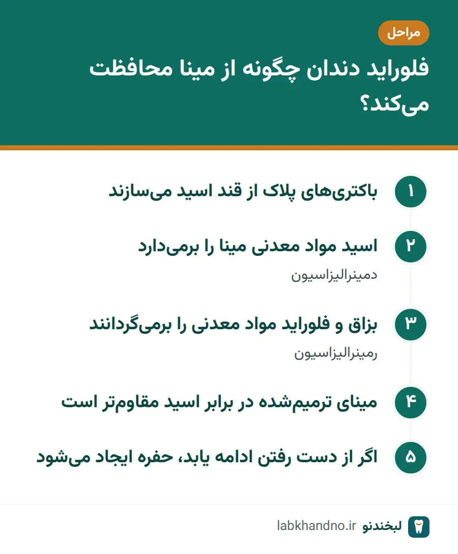 مراحل اثر فلوراید دندان در محافظت از مینا از حمله اسید تا رمینرالیزاسیون